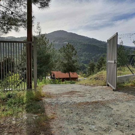 The Cosy Mountain Cabin With Stunning Views Near Troodos Kato Amiandos 外观 照片