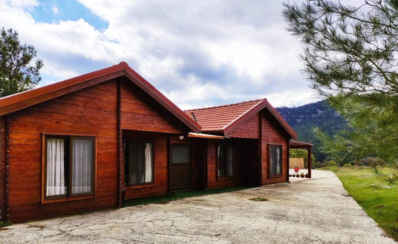 The Cosy Mountain Cabin With Stunning Views Near Troodos Kato Amiandos 外观 照片
